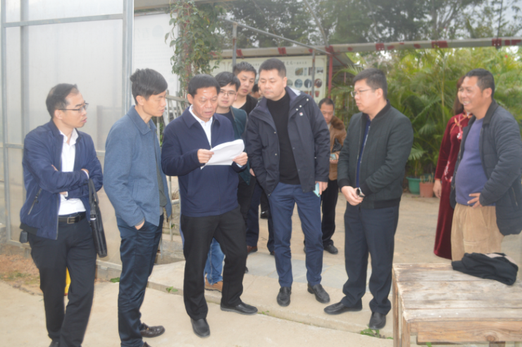 陈景新局长深入城厢区开展服务开放招商强化要素保障专题调研